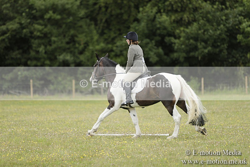 BVR160717-1175 - Class 2 Dressage 16/07/17
