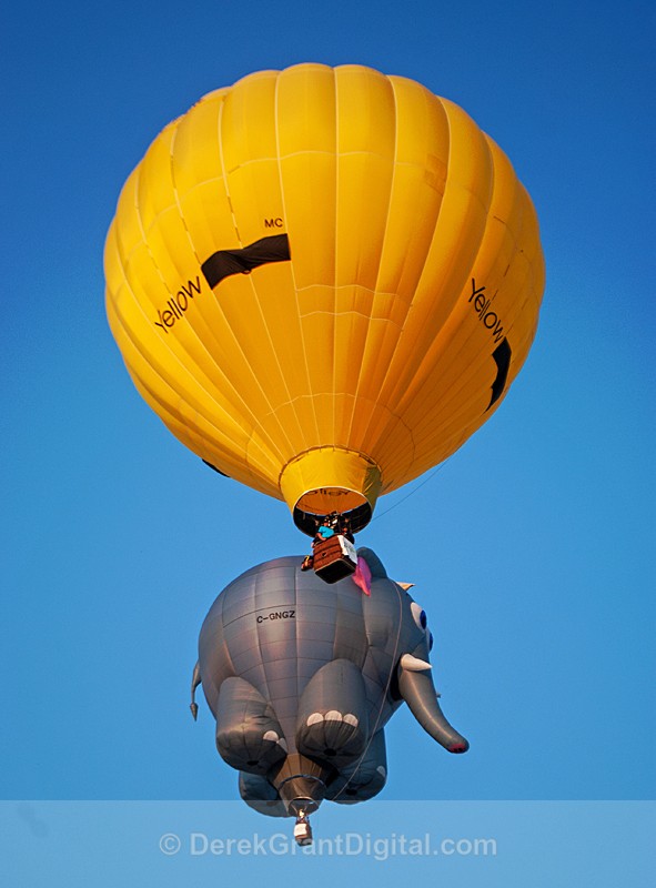 Atlantic Balloon Fiesta Sussex, NB Canada - Atlantic International Balloon Fiesta