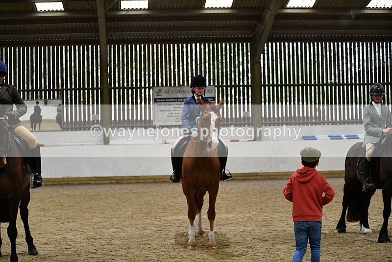 WJ5_8081 - Class 13 Ridden Part Breed