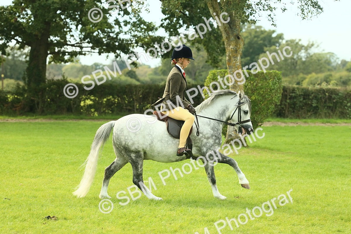 SBM_69820 - S59 - Mountain & Moorland Ridden Small Breeds