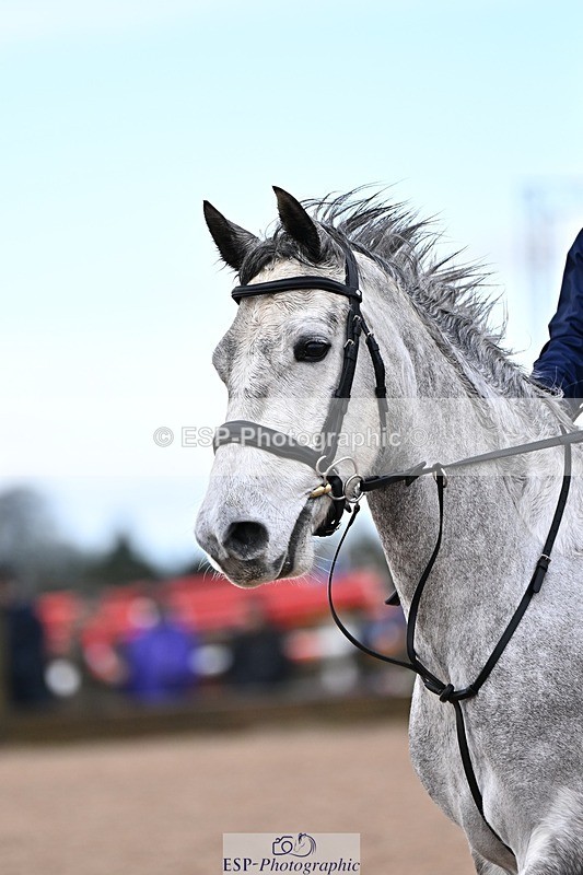 260208-132620-01337 - Cls 19+20 Club and Schools 60cm