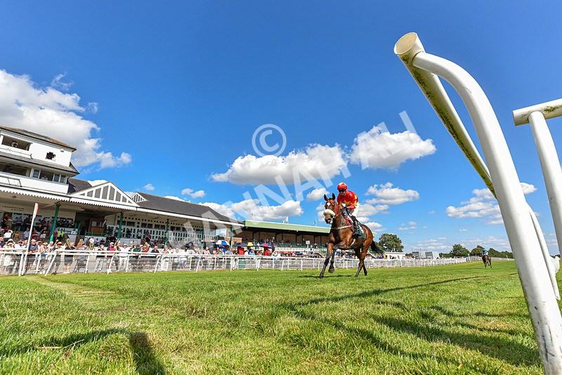 080726-Race 5-Sugarpiehoneybunch-2255 - Race 5 16.00pm Bet At racingtv.com Handicap