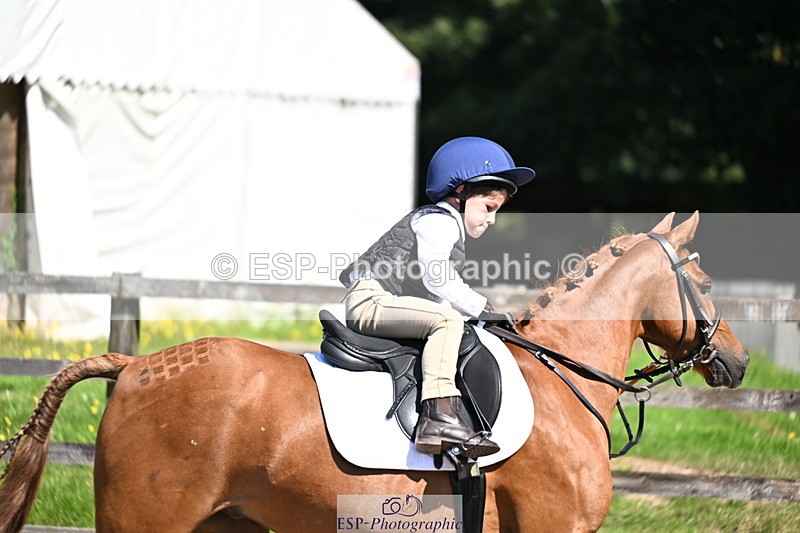 240729B-110851-02245 - Showjumping Competition