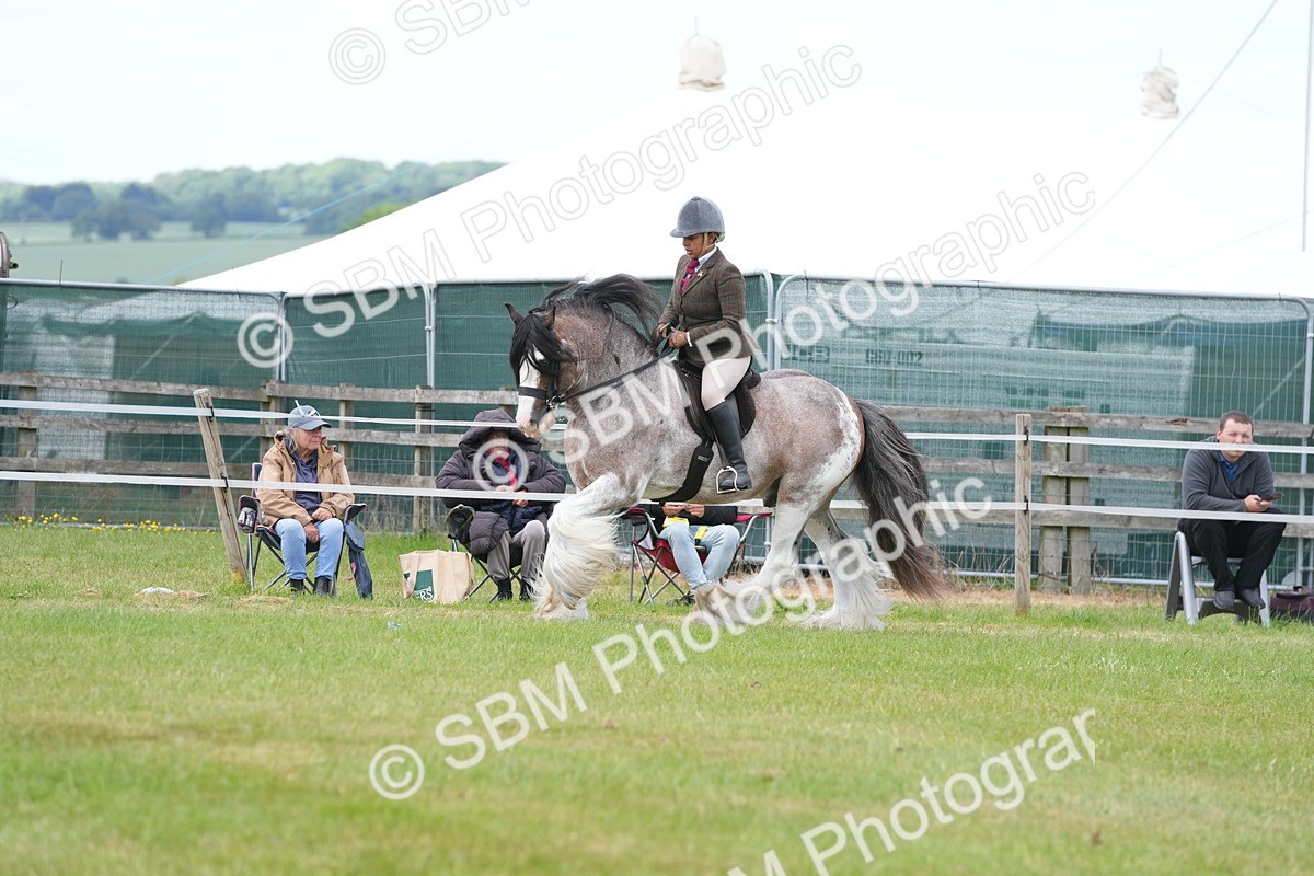 SBM_17208 - Class 107-108 - LIHS BSPS Performance Coloured Horse Pony