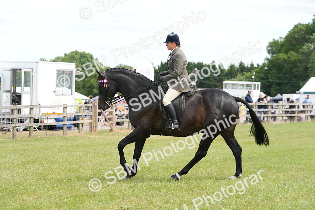 SBM_16194 - Class 105-106 - RIHS Riding Horses