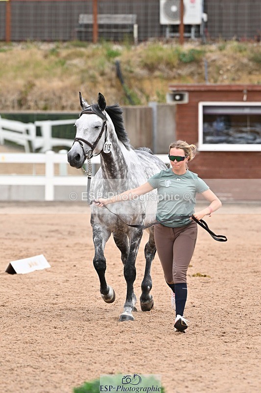 250716-143639-01241 - Trot Up 2.30 to 3.30