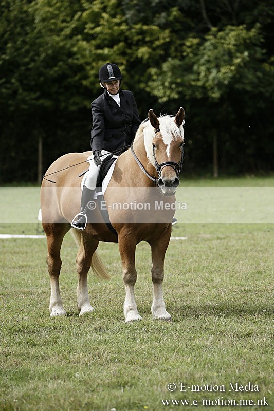 BVR080918 148 - BVRC Novice Dressage & CR 08/09/18