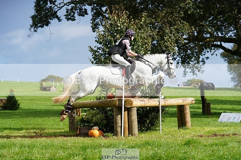 231020-140308-09451 - 114-LATINA'S.TWINKELING-Pippa.Haslam-XC