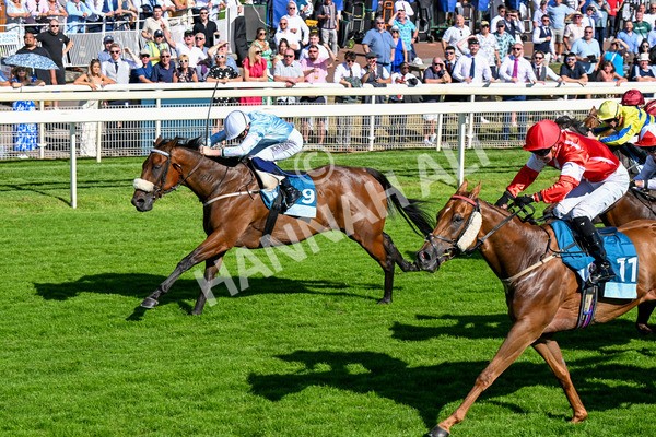 110725-Race 6-Brazen Bolt-0508 - Race 6 5.07pm William Hill Keep Your Raceday Positive Handicap