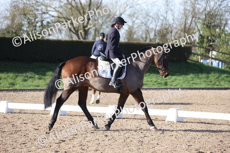 20260214-0553 - Class 5 - Novice 3