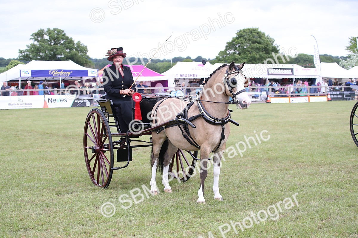 SBM_05867 - Class 12-15 - HOYS Private Driving