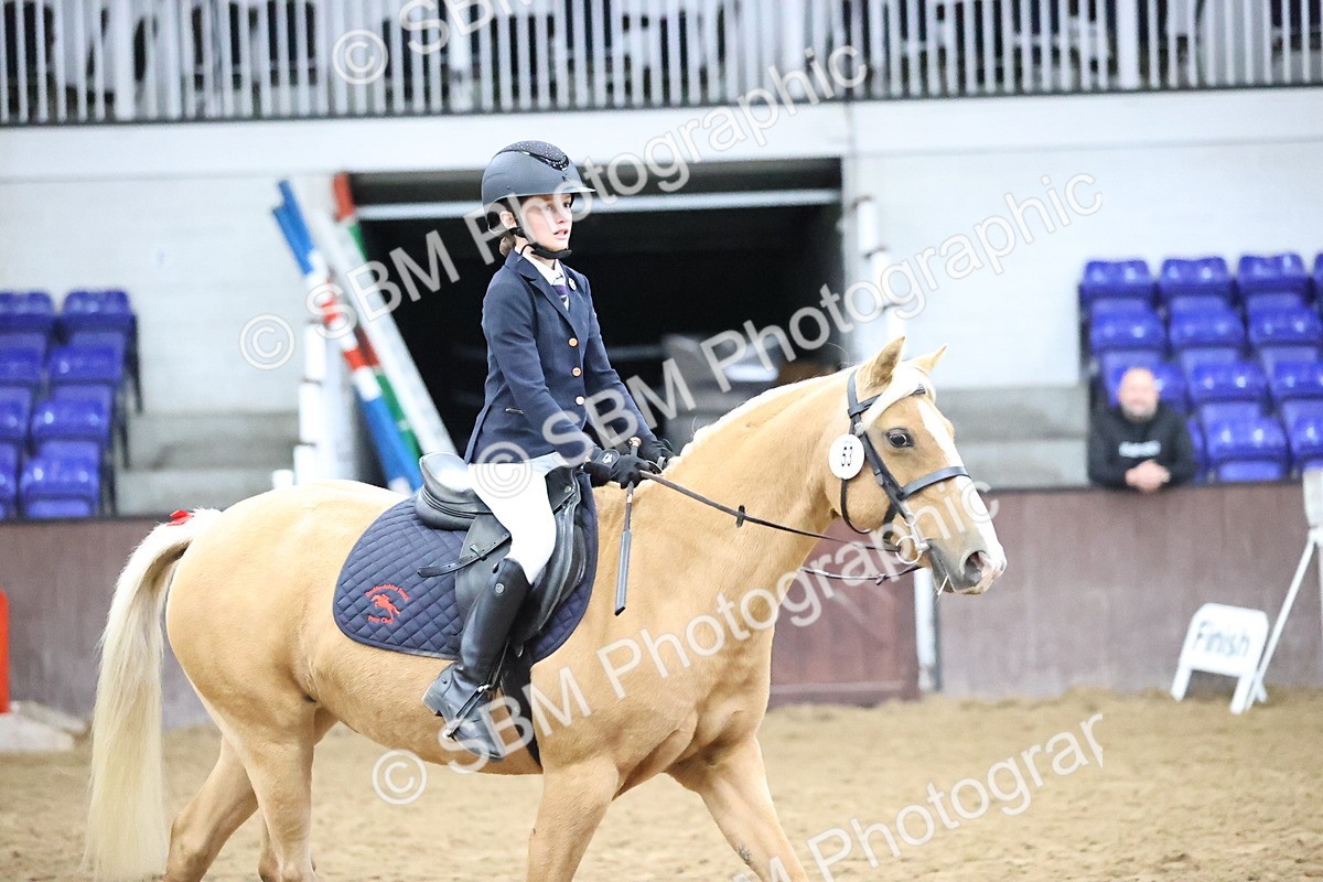 SBM_000081 - Class 1 - Fox Farriers 30cm