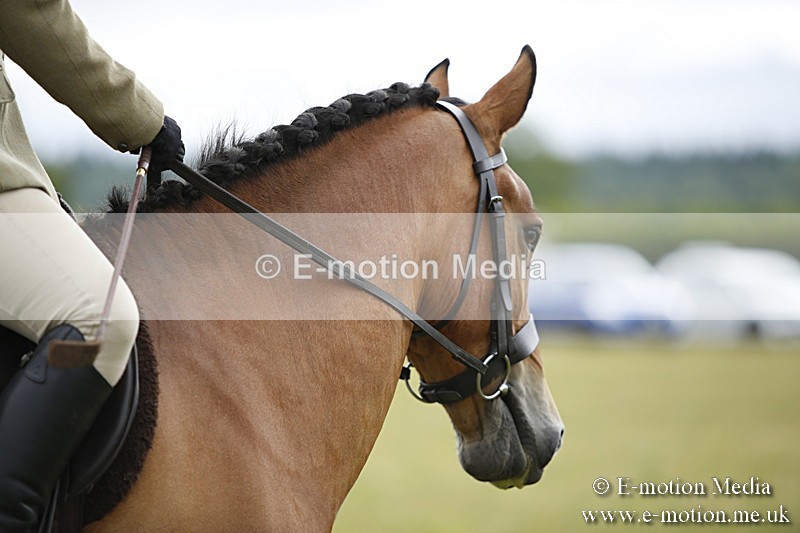 BVR160717-279 - Ring 1 BVRC Show 16/07/17