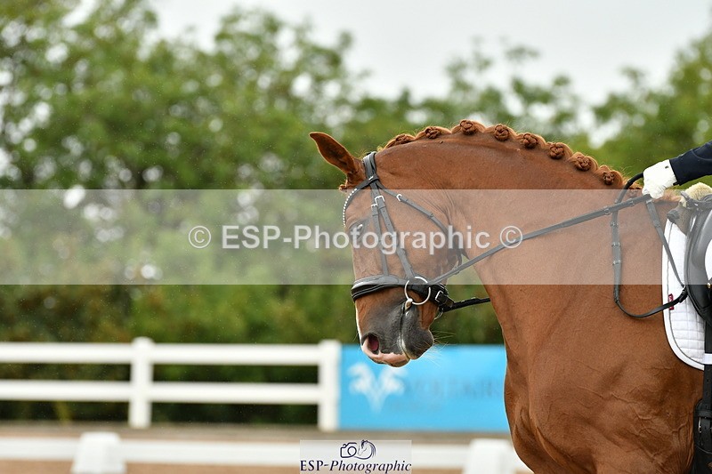 230912A-131029-01030 - Cls 15 Music Adv Medium