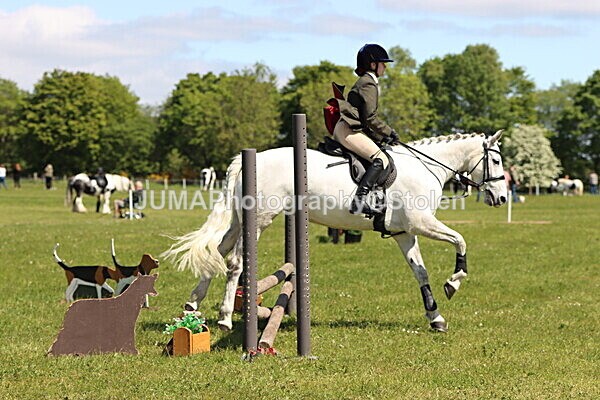 IMG_3517 - Working Hunter