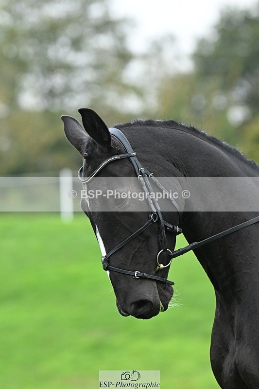 241024-143733-04562 - 418-Georgina.Marks-IM.ON.FIRE