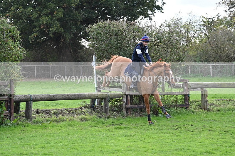 WJ7_9597 - Time 13:13 to 13:55