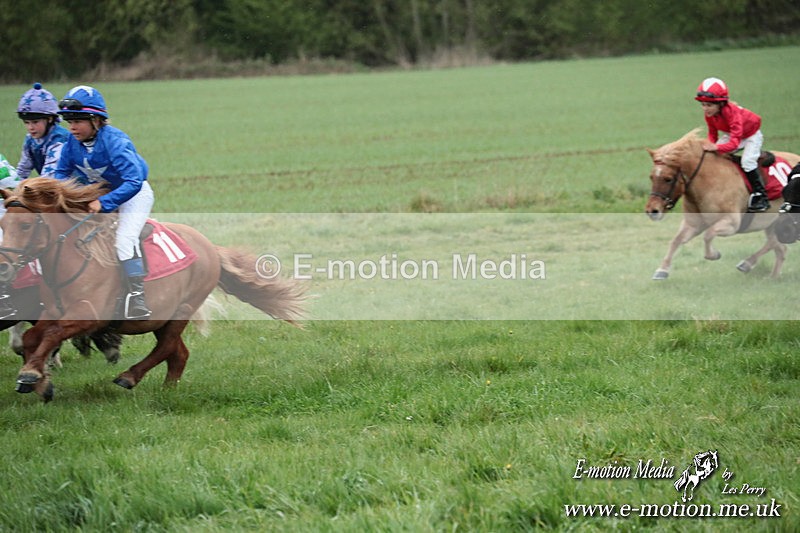 SHETPR 210425 195 - Shetland Ponies Paxford Races 21/04/25