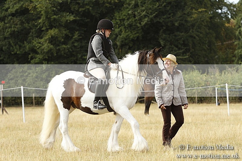 _BS_0432 - BVRC Show 2018 Ring 3