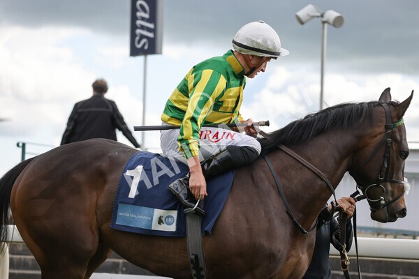 yr11052022r7-10 - Race 7 5.15pm British Stallion Studs EBF Novice Stakes