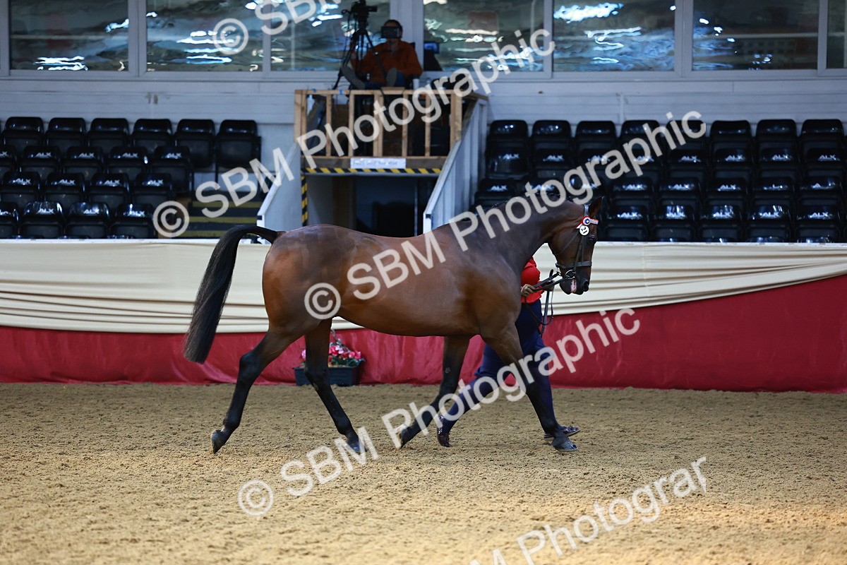 SBM_22328 - Class 902 - Supreme Final - IH Diamond