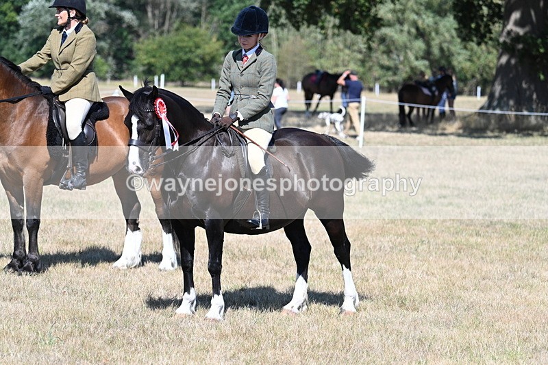 WJ7_4126 - Class 9 Mountain & Moorland Ridden