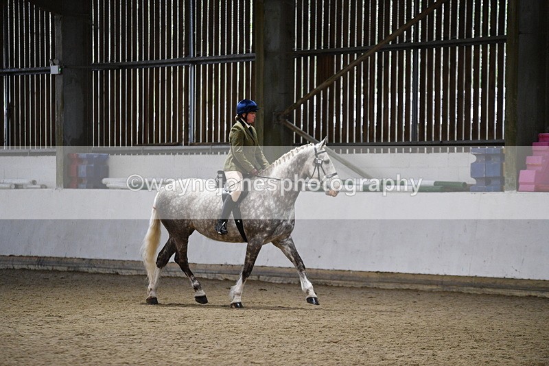WJ5_8240 - Class 14 Novice Ridden/Rider