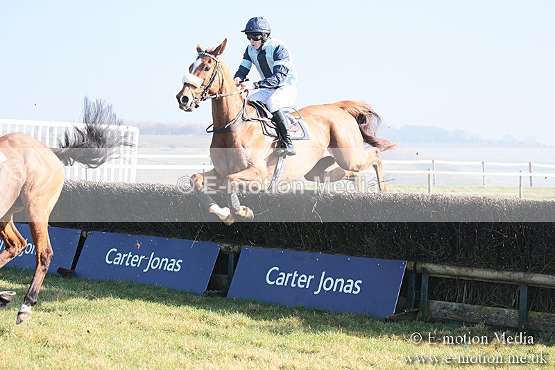 PtP 230219 288 - Vine & Craven Point-To-Point - Barbury 23/02/19