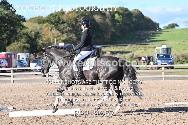 BPP_9067 - LONG ARENA
