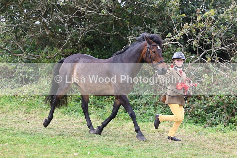 3E7A5697 - In Hand Championship