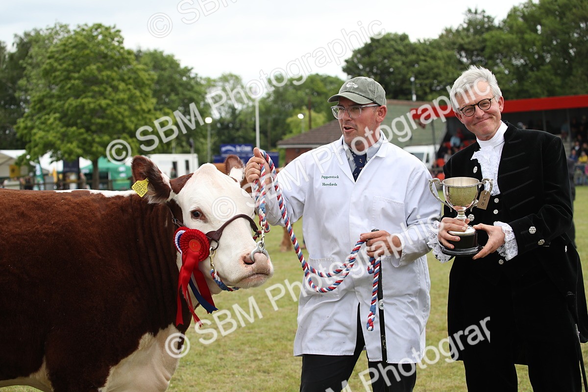 SBM_07910 - Grand Parade