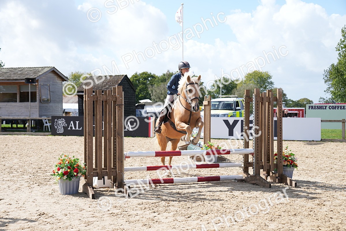 SBM_06046 - J56 - Clear Round 70cm