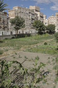  - Yemen, Arabian Peninsula