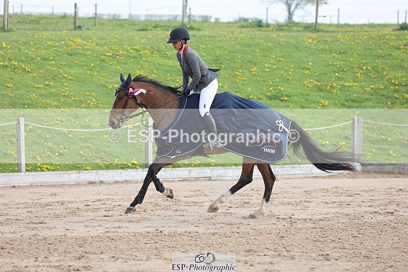 250424-111232-03406 - Cls 33 Young Horse 7yr old