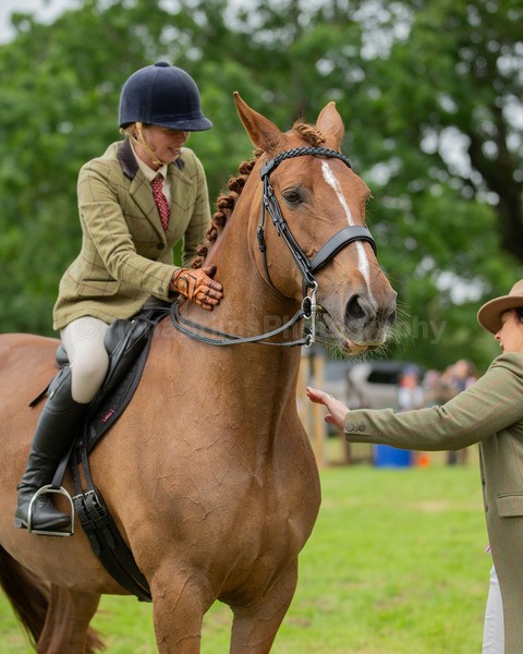 Dunblane show-672 - Dunblane and Doune Show Ring 1