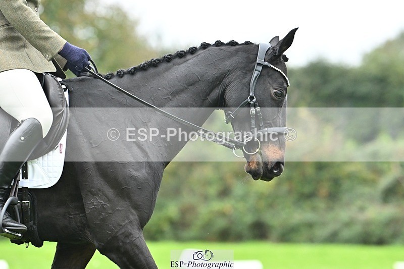 241024-134525-04195 - 329-Lisa.Donner-NOTNOWBABE