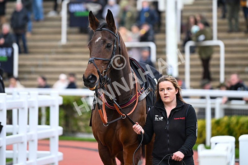 171124-Race 2-Paddock-Primoz-2795 - Race 2