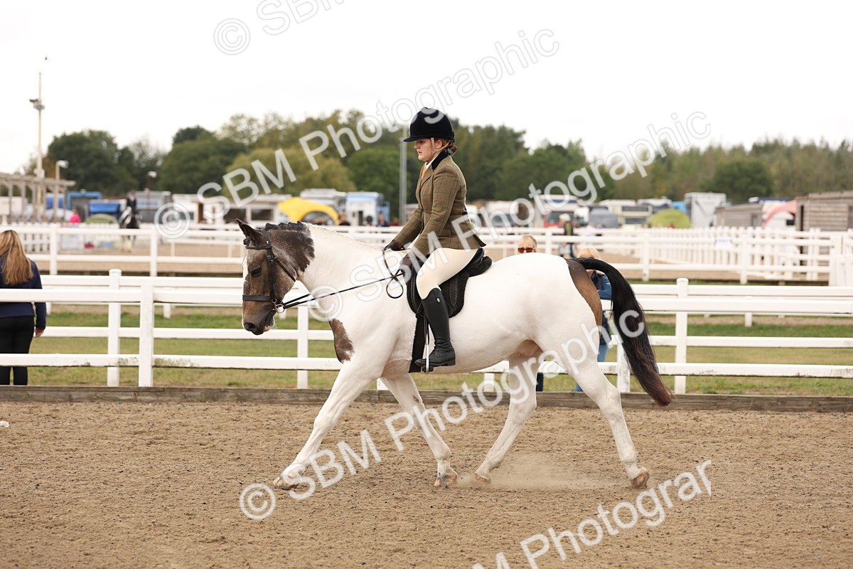 SBM_02884 - Class 53 - Ridden Competition Horse/Pony