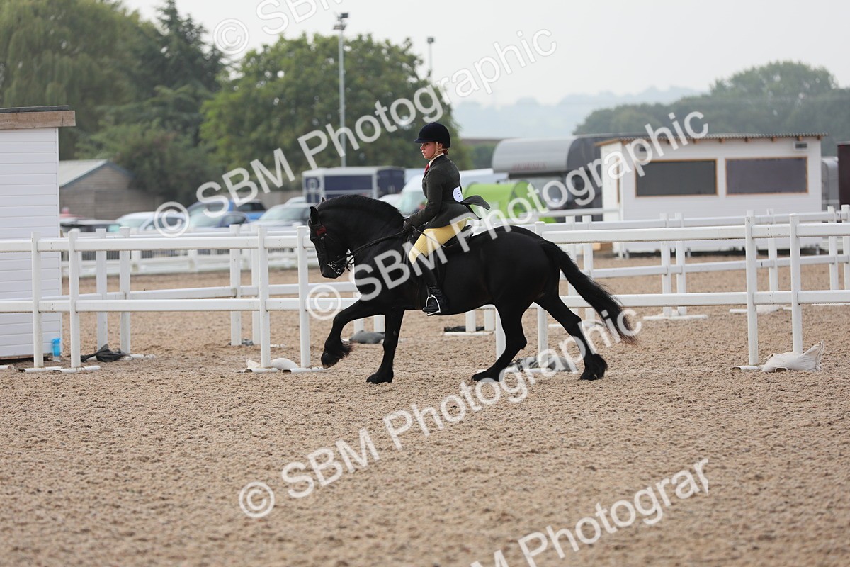 SBM_10044 - Class 302 Ridden M&M -Large Breeds