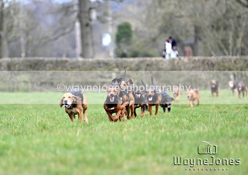 WJ7_6570 - Berks & Bucks Mayridge Farm – Englefield 16-03-25