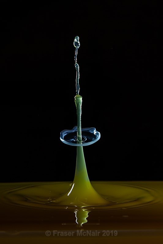 Water Droplet 8891 - Abstract Photography