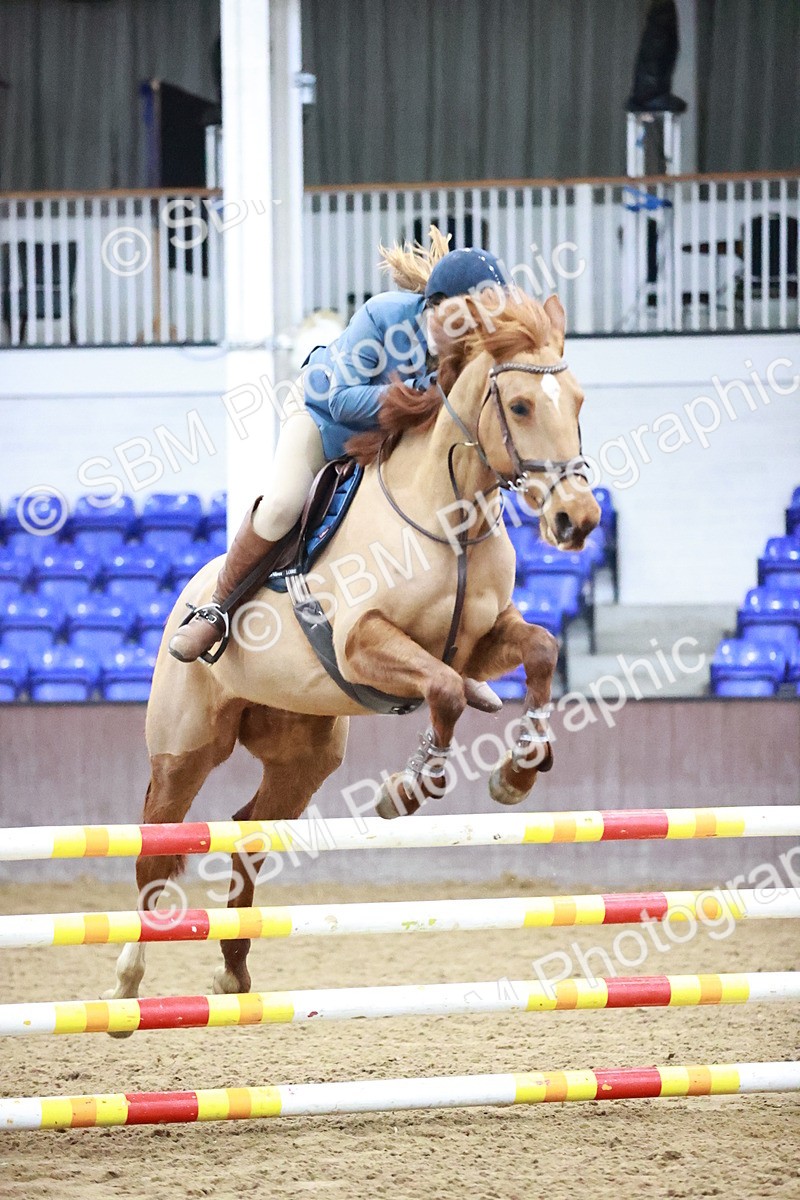 SBM_004388 - Class 15 - Senior British Novice 90cm