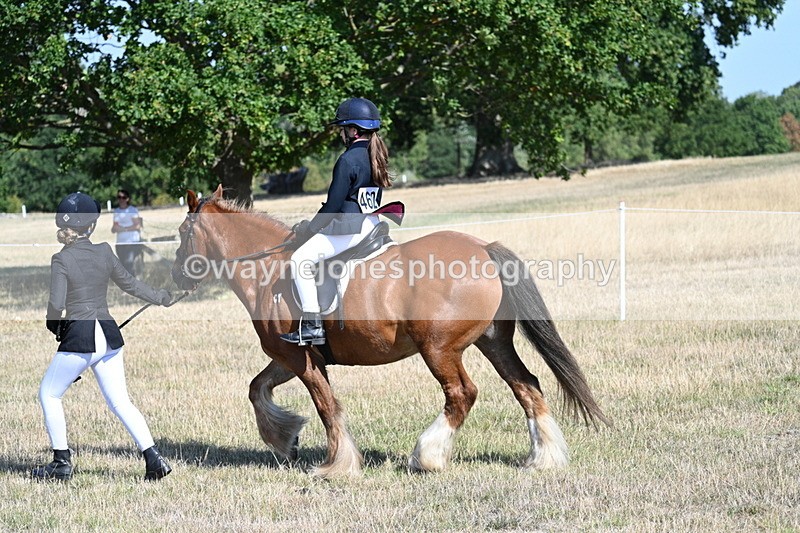 WJ7_3027 - Class 8 Ridden Tack & Turnout