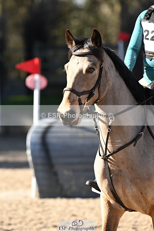 250302A-104534-01566 - Cls 01 70-75cm