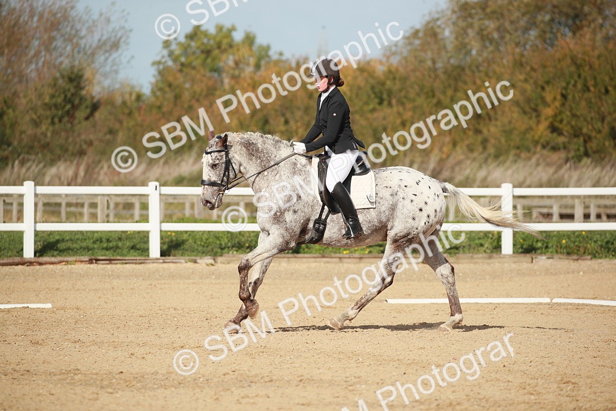 SBM_001703 - Class 4 - Novice 5