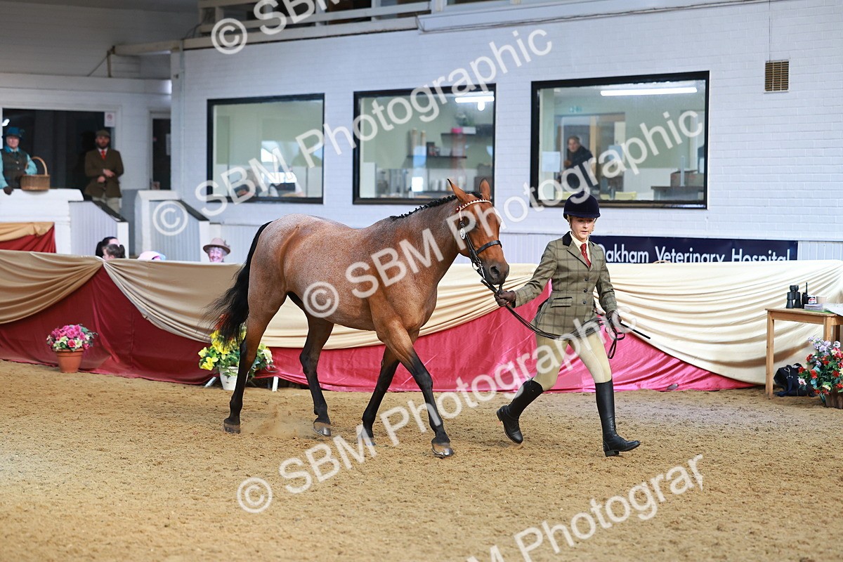 SBM_09551 - Class 102 - HOYS Veteran Qualifier - Ridden Veteran