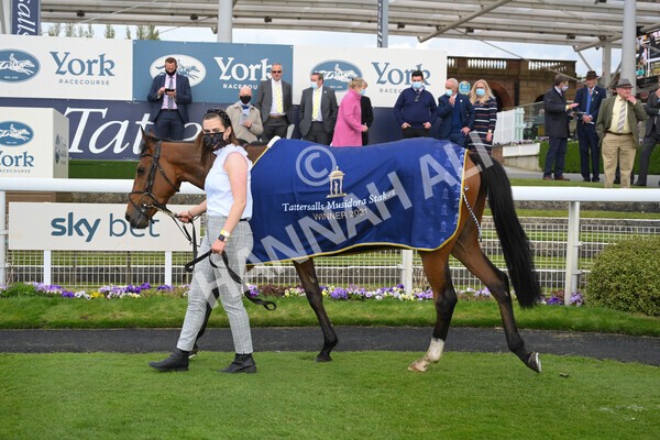 yr12052021r4-50 - Race 4 3.10pm Tattersalls Musidora Stakes