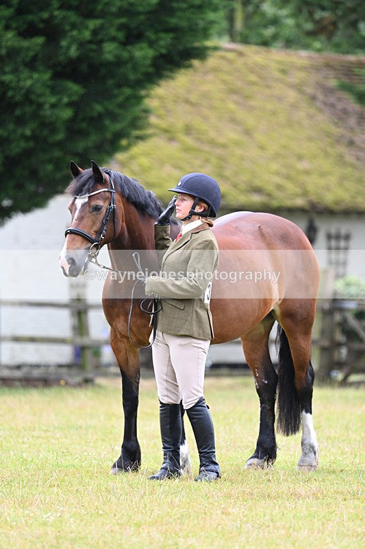 WJ7_6326 - Class 4a Prettiest Mare over 14hh