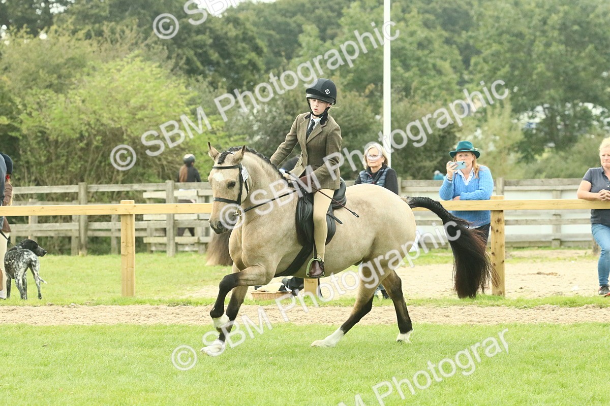 SBM_74009 - S 61 - Show Pony & Show Hunter Pony Ridden