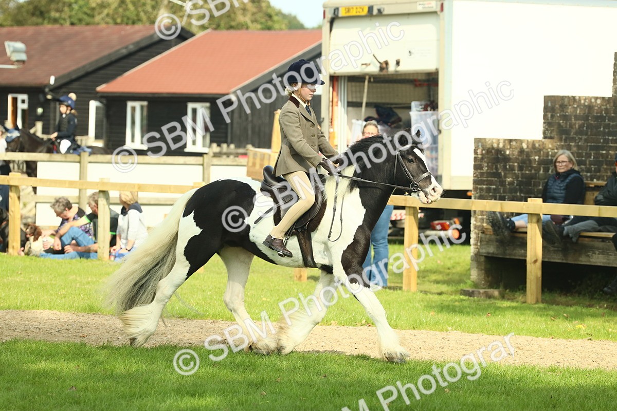SBM_68900 - S58 - Mini Show Cob Ridden